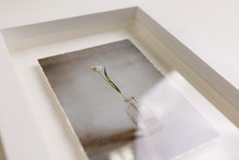 Floating Frame with Deckled Print